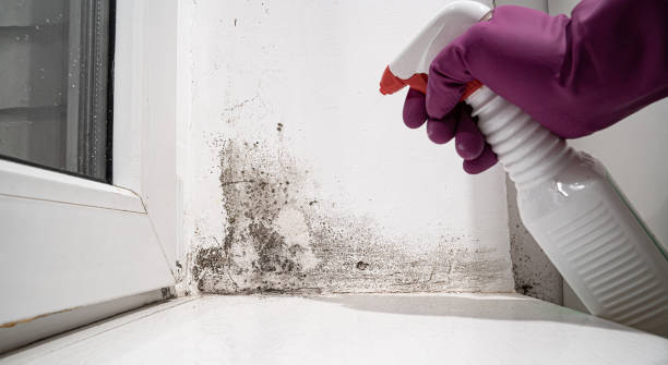 Water damage restoration insurance claims in Gower, MO